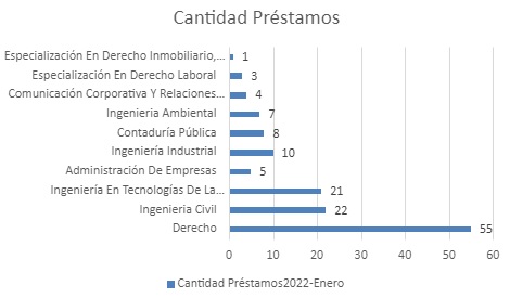 CANTIDAD DE PRESTAMOS ENERO